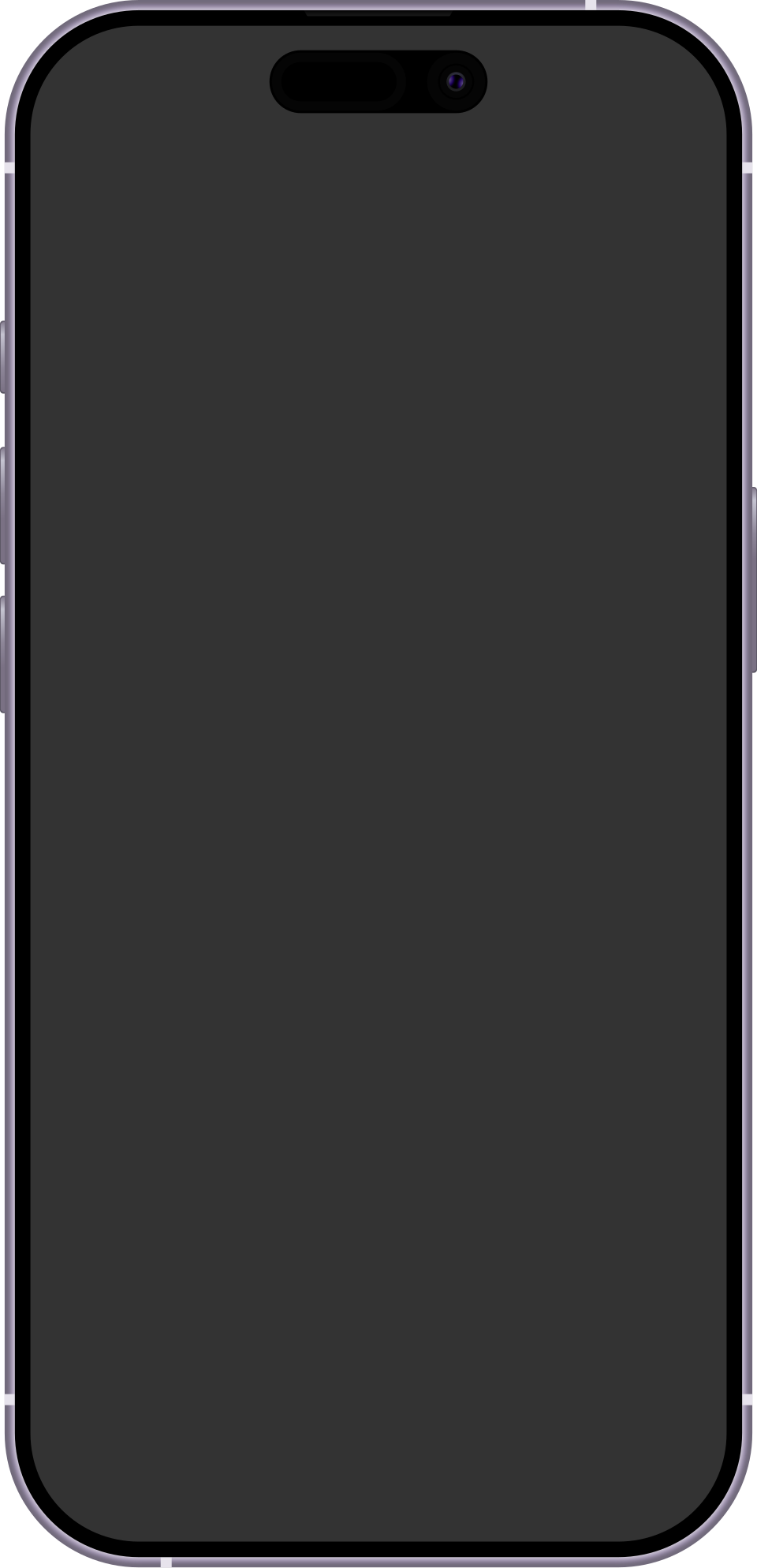 Apple 17